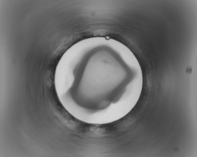 X0000110870311200907161444