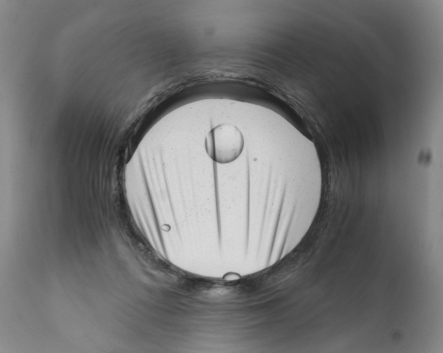 X0000110870312200907161444