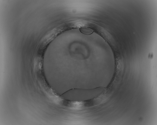 X0000110870313200907161444