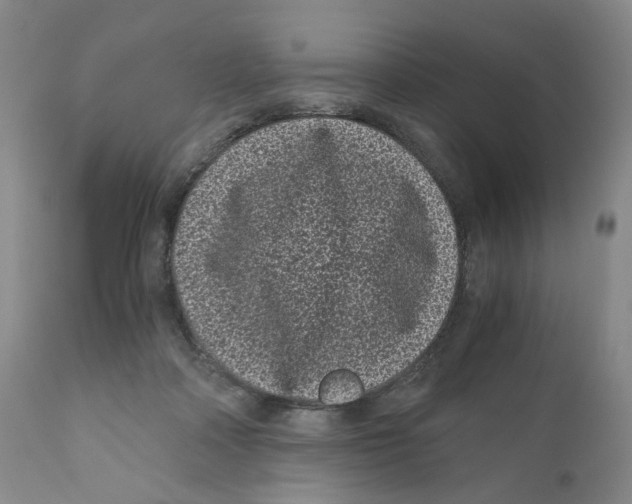 X0000110870314200907161444