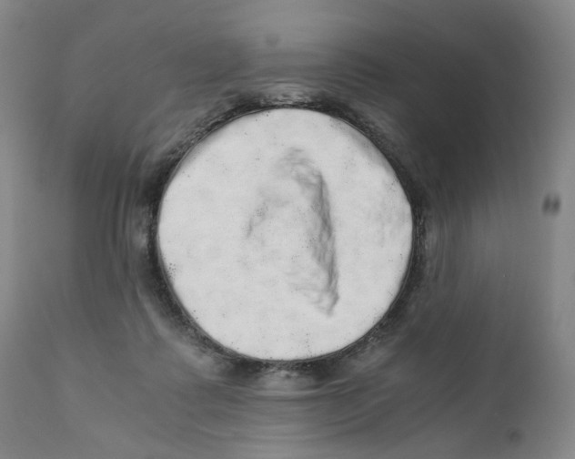 X0000110870315200907161444