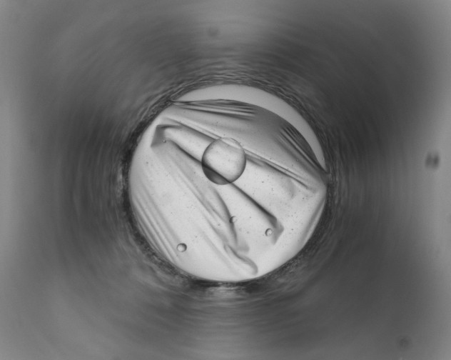 X0000110870320200907161444