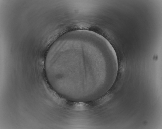 X0000110870321200907161444