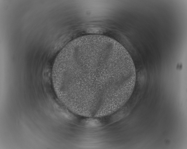 X0000110870322200907161444