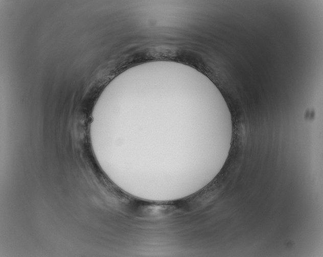 X0000110870323200907161444