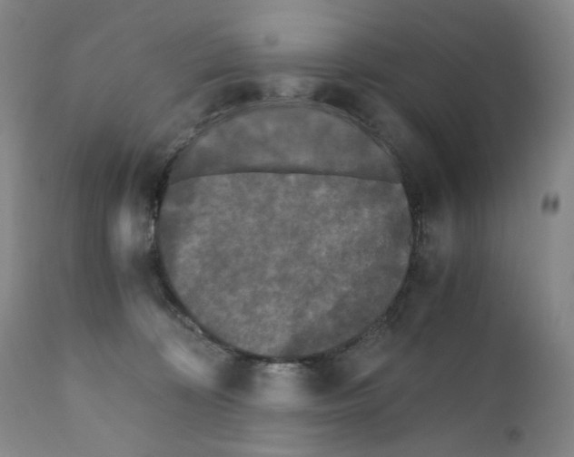 X0000110870324200907161444