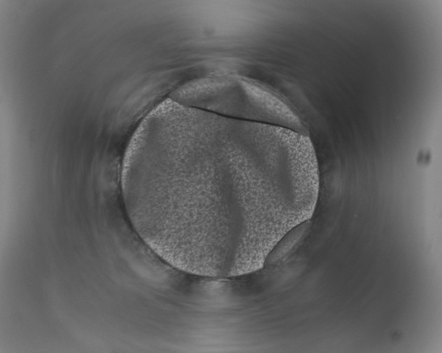 X0000110870325200907161444