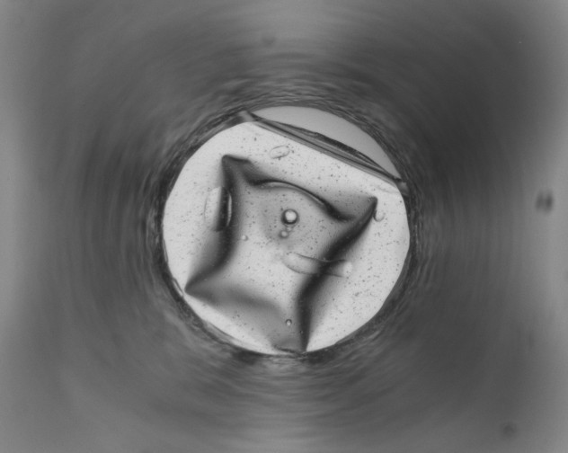 X0000110870327200907161444