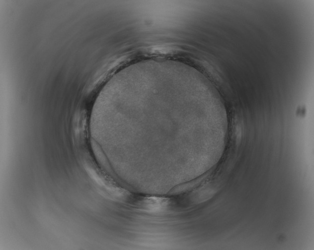 X0000110870328200907161444