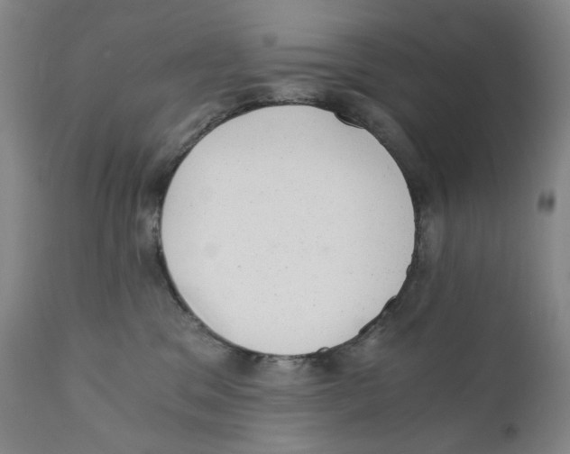 X0000110870329200907161444