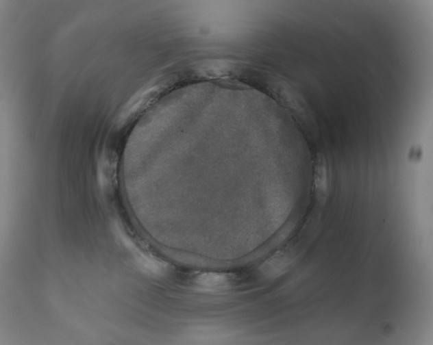 X0000110870332200907161444