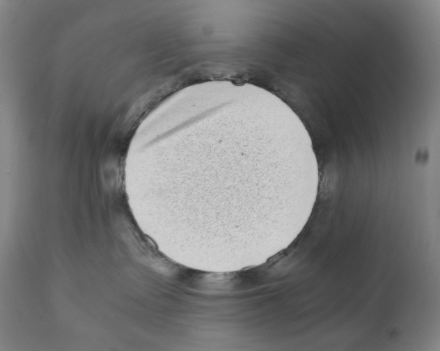 X0000110870335200907161444