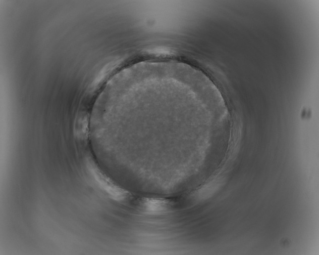 X0000110870336200907161444