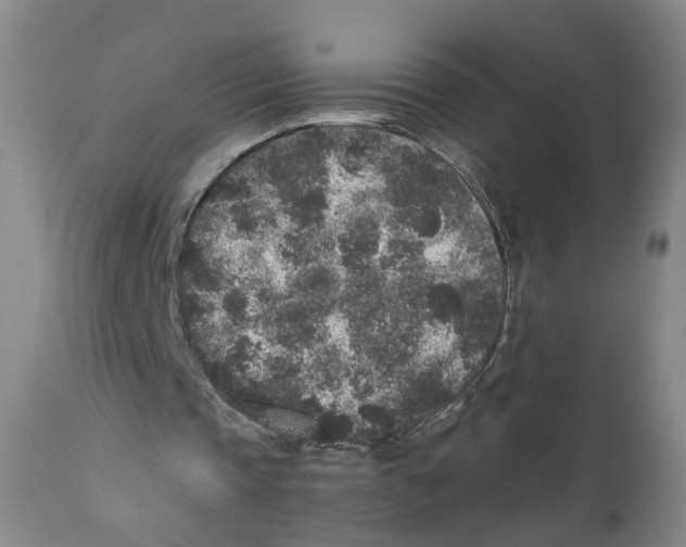 X0000110870337200907161443