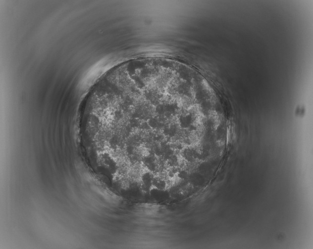 X0000110870339200907161443