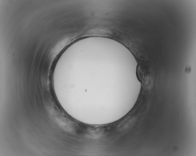 X0000110870340200907161443