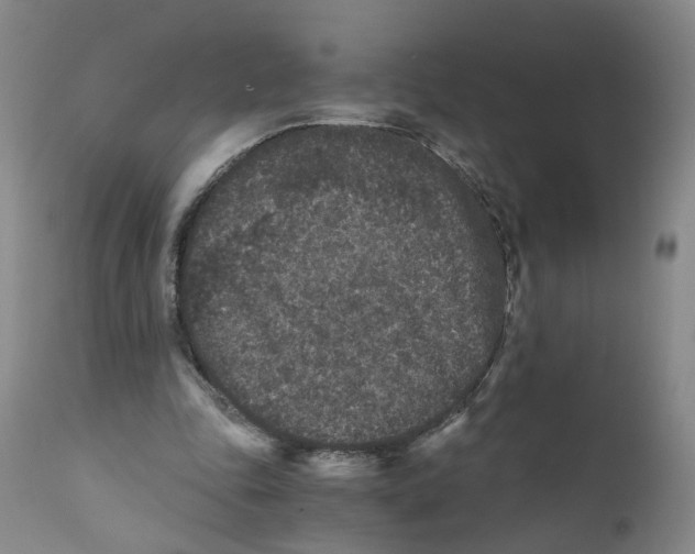 X0000110870343200907161443