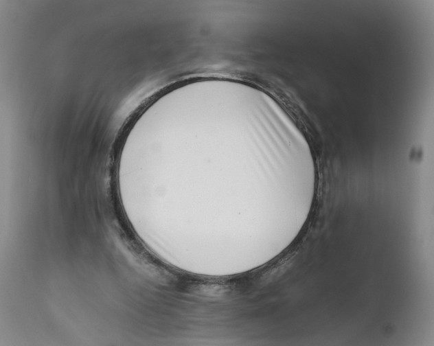 X0000110870344200907161443