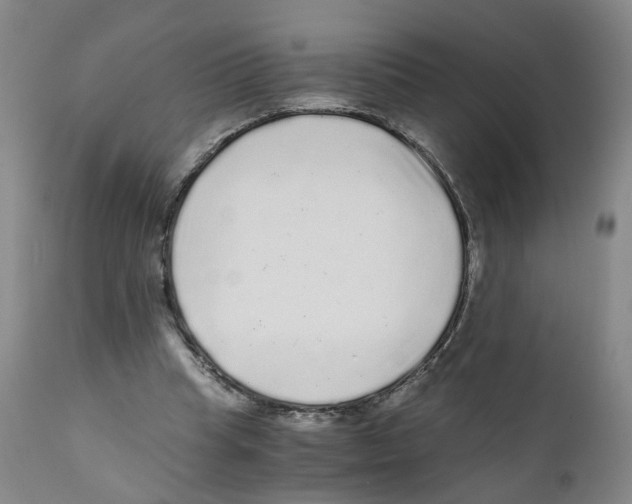 X0000110870345200907161443