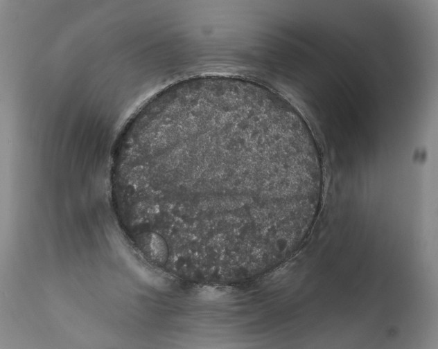 X0000110870346200907161443