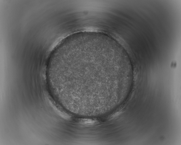 X0000110870347200907161443