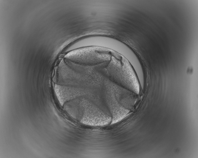 X0000110870348200907161443