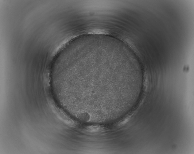 X0000110870351200907161443