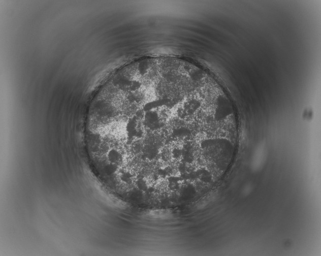 X0000110870353200907161443