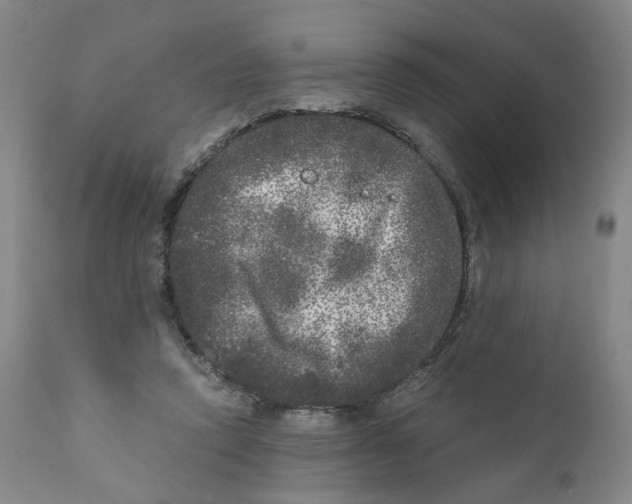 X0000110870354200907161443