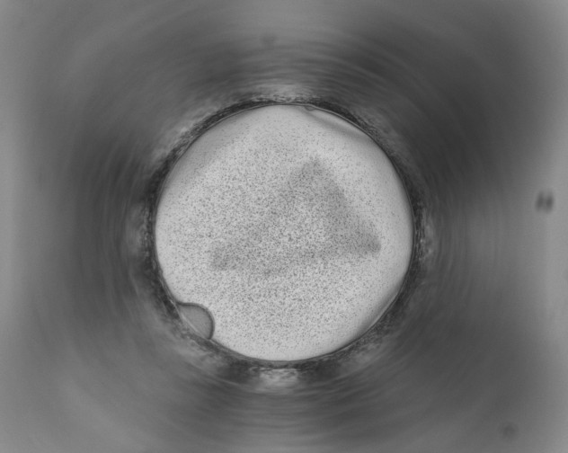 X0000110870355200907161443