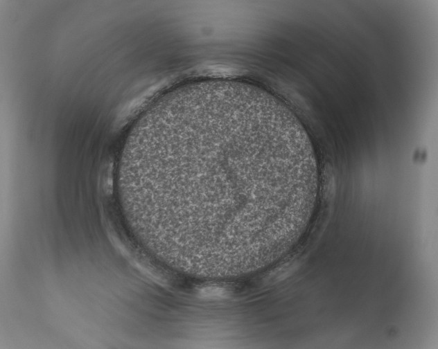 X0000110870358200907161443