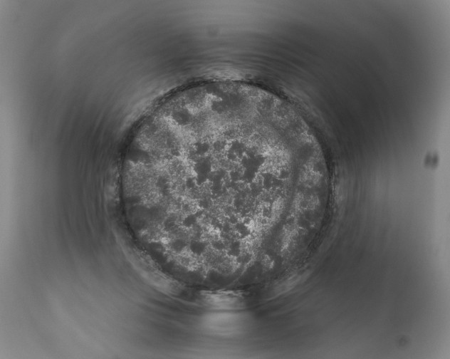 X0000110870359200907161443