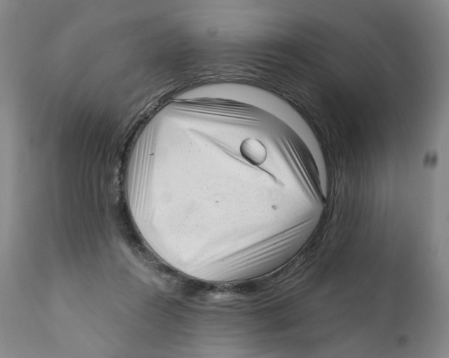 X0000110870360200907161443