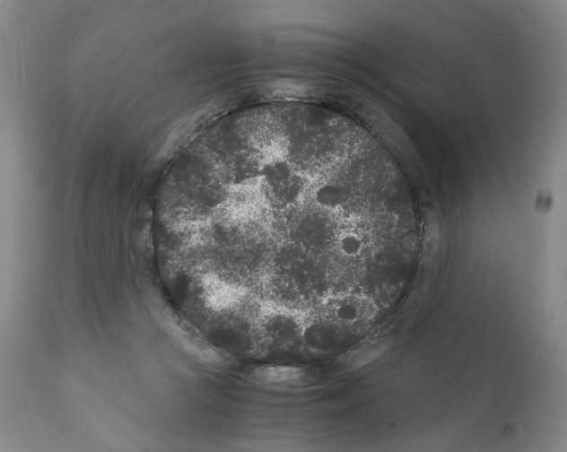 X0000110870361200907161443