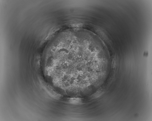 X0000110870363200907161443