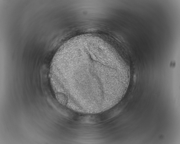 X0000110870366200907161444