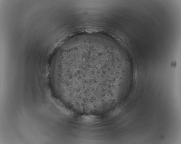 X0000110870367200907161444