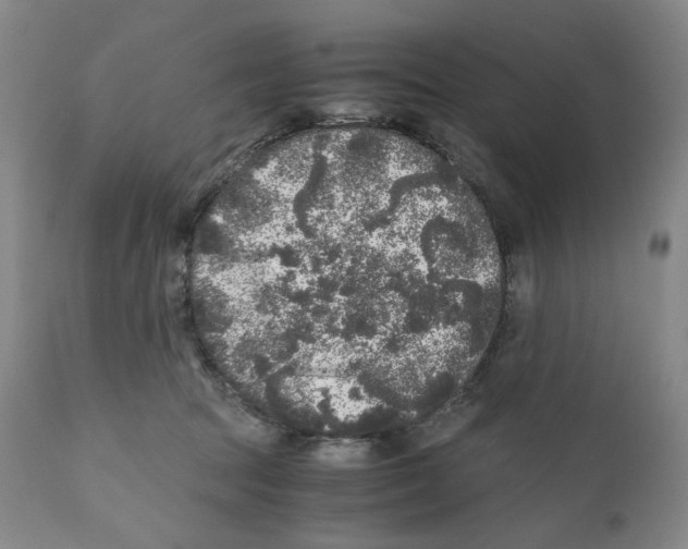 X0000110870369200907161444