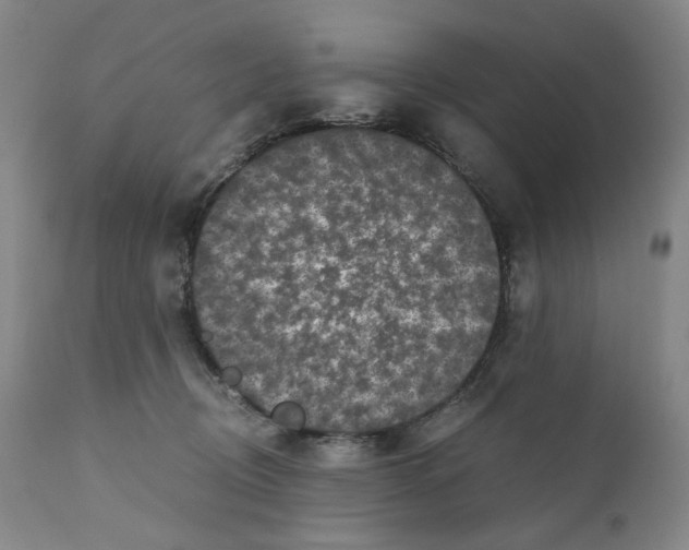 X0000110870370200907161444