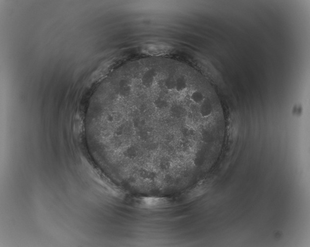 X0000110870371200907161444