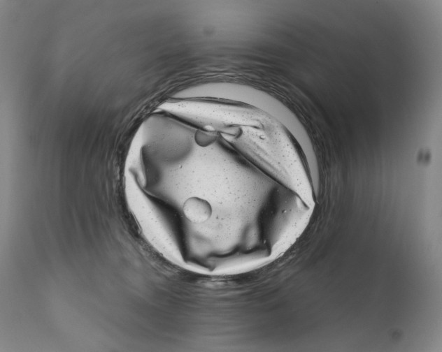 X0000110870372200907161444