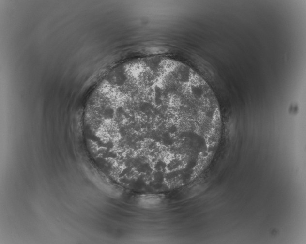 X0000110870373200907161444