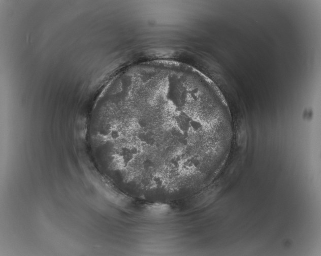 X0000110870374200907161444