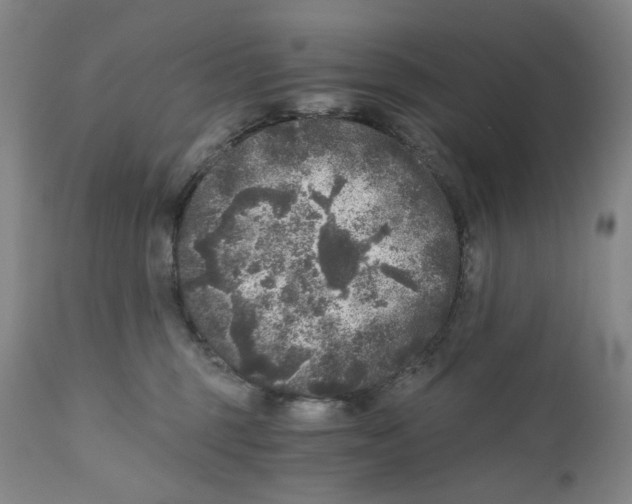 X0000110870375200907161444