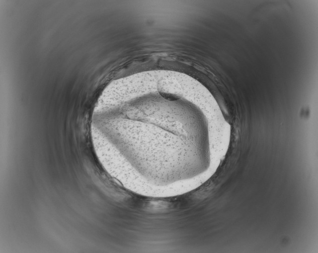 X0000110870376200907161444