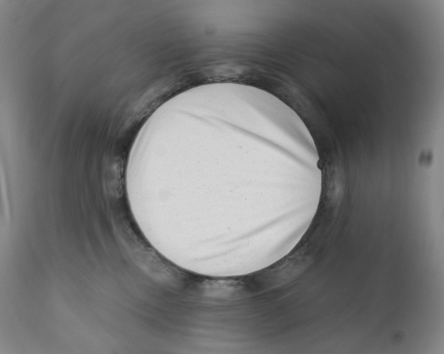 X0000110870378200907161444