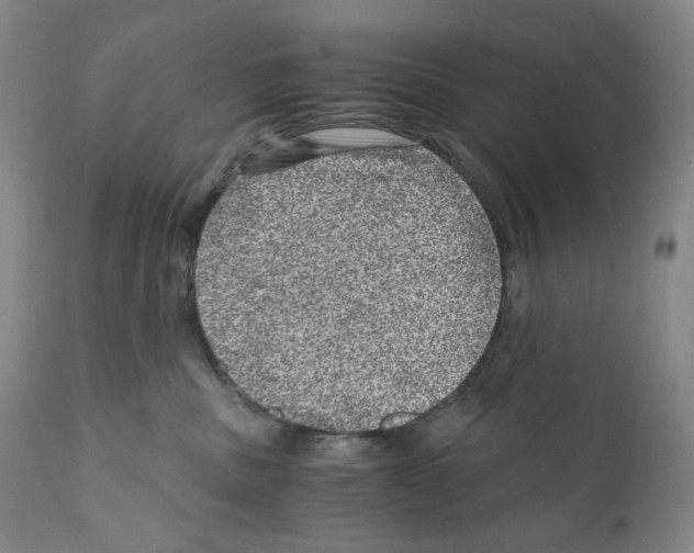 X0000110870379200907161444