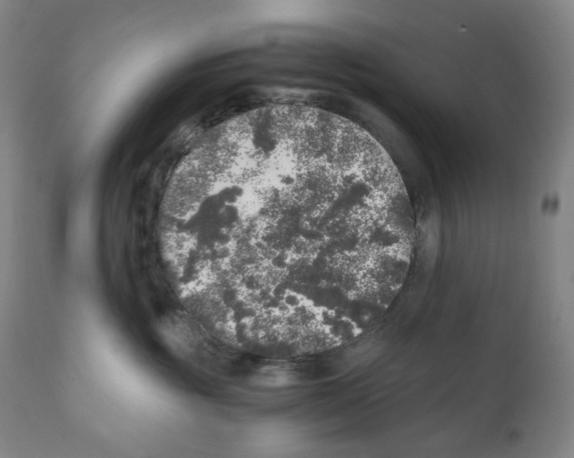 X0000110870381200907161444