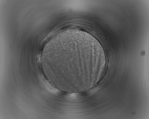 X0000110870382200907161444