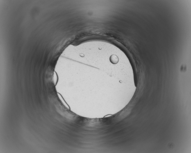 X0000110870384200907161444